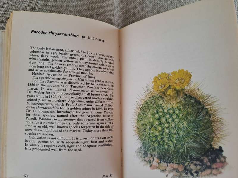 Cacti and Succulents - Rudolf Subik
