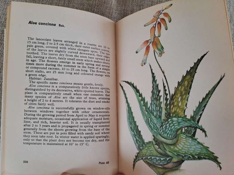 Cacti and Succulents - Rudolf Subik