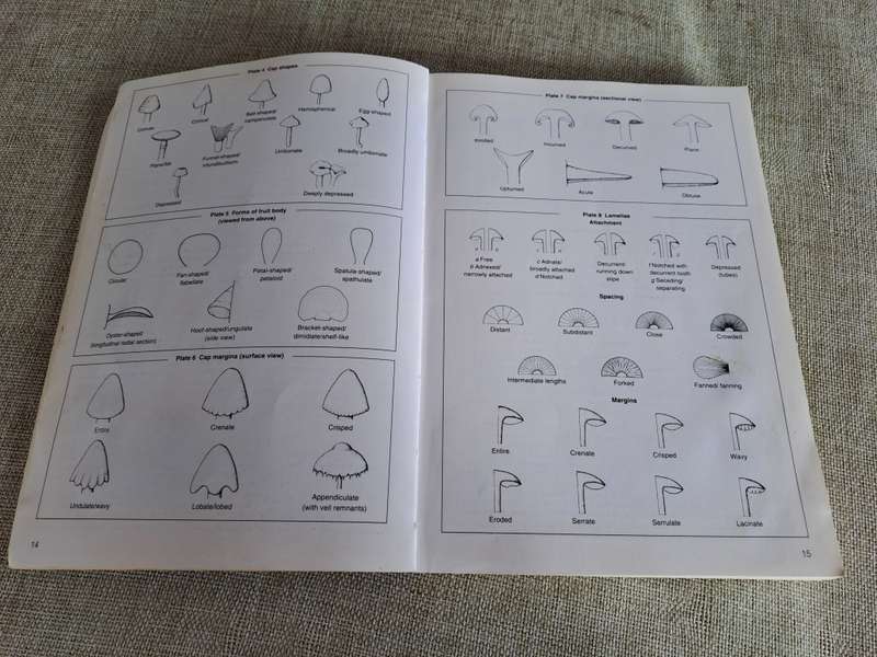 Field Guide Mushrooms of Southern Africa - Van der Westuizen & Eicker