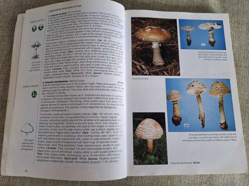 Field Guide Mushrooms of Southern Africa - Van der Westuizen & Eicker