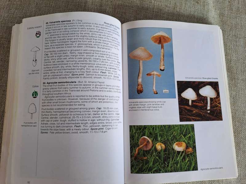 Field Guide Mushrooms of Southern Africa - Van der Westuizen & Eicker