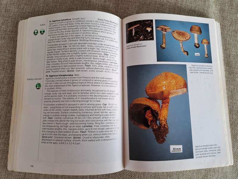 Field Guide Mushrooms of Southern Africa - Van der Westuizen & Eicker