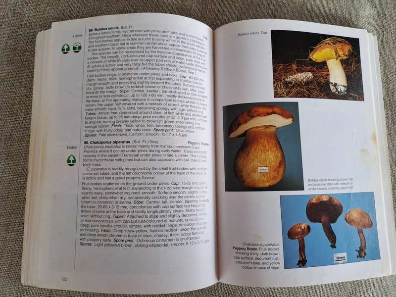 Field Guide Mushrooms of Southern Africa - Van der Westuizen & Eicker