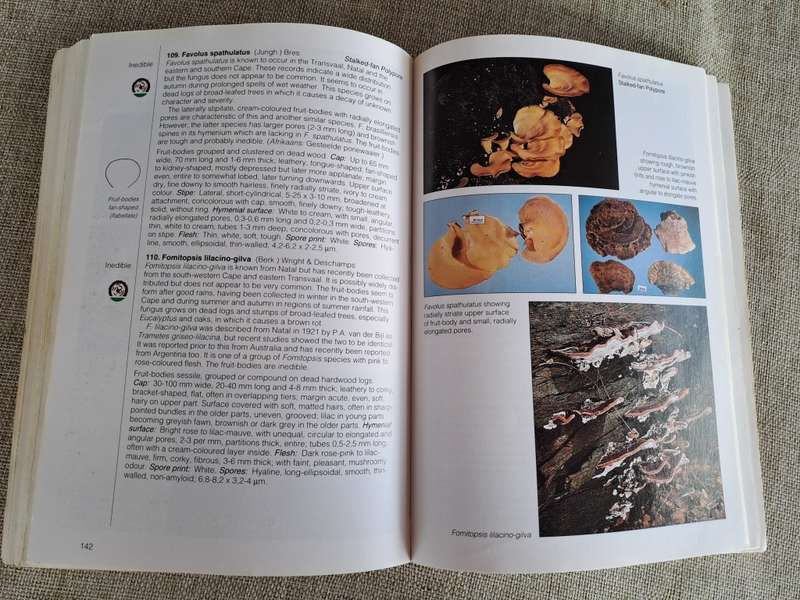 Field Guide Mushrooms of Southern Africa - Van der Westuizen & Eicker