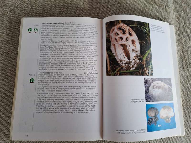Field Guide Mushrooms of Southern Africa - Van der Westuizen & Eicker