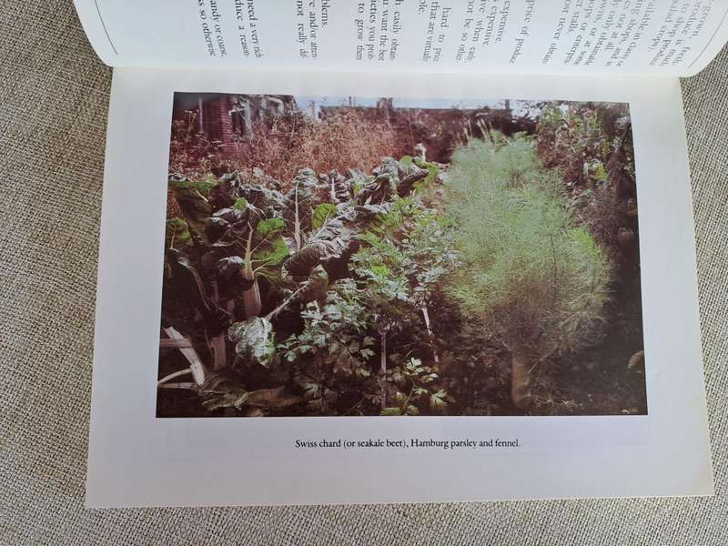 Planning Your Organic Vegetable Garden - Dick Kittp