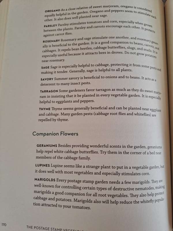 The Postage Stamp vegetable Garden - Karen Newcomb