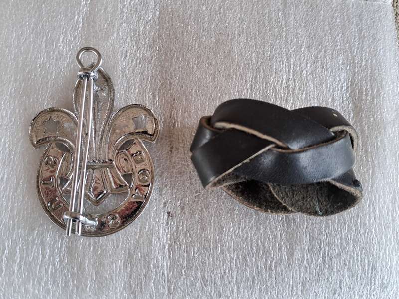 Boy Scouts Badge and Toggle
