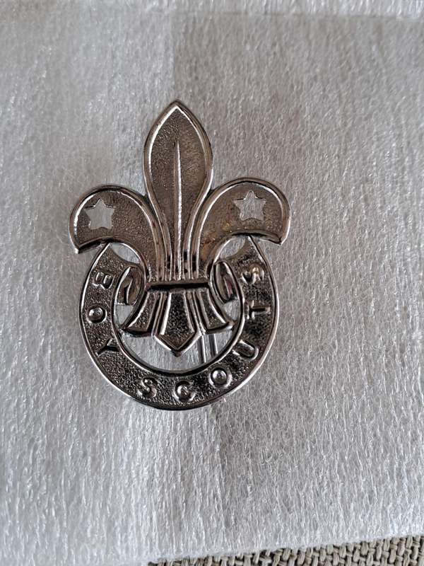 Boy Scouts Badge and Toggle