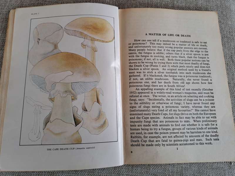 Fungi Mushrooms - Books x 4