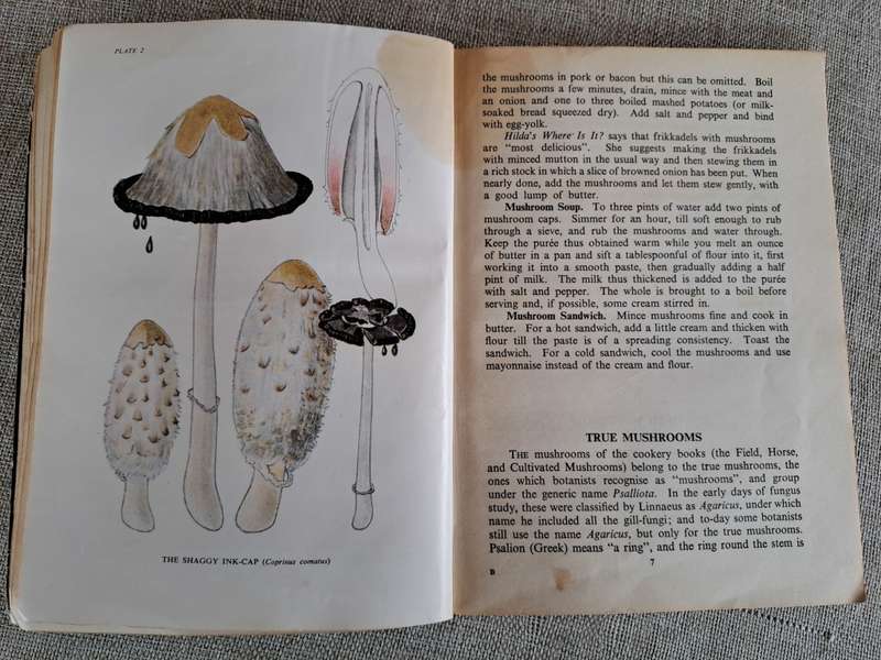 Fungi Mushrooms - Books x 4