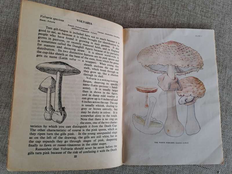 Fungi Mushrooms - Books x 4