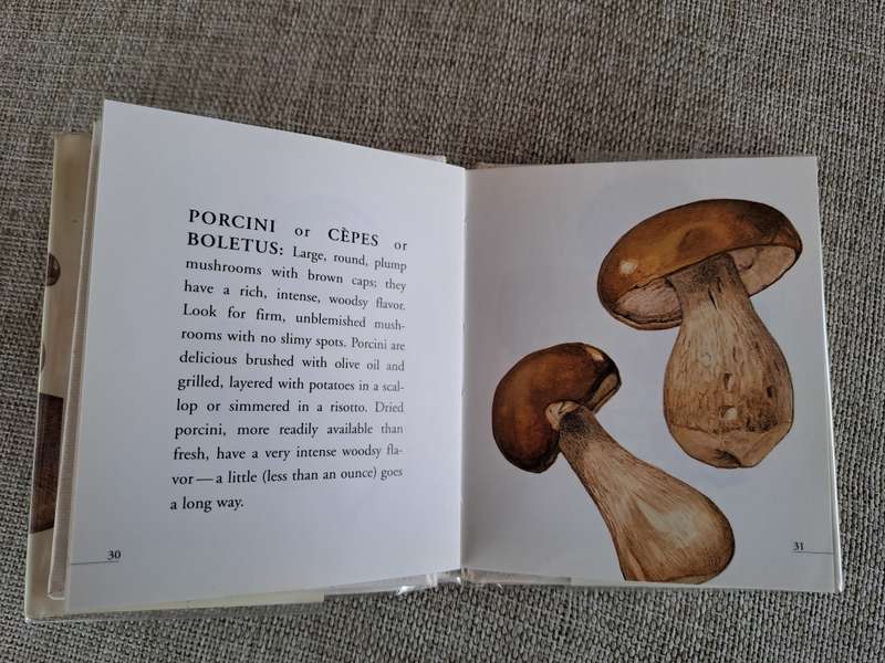 Fungi Mushrooms - Books x 4