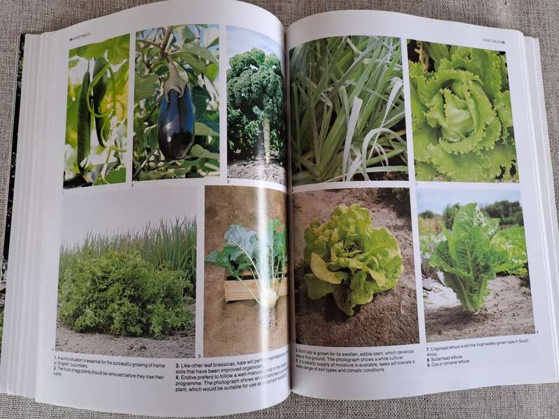 The A-Z of Vegetable Gardening in South Africa - Jack Hadfield