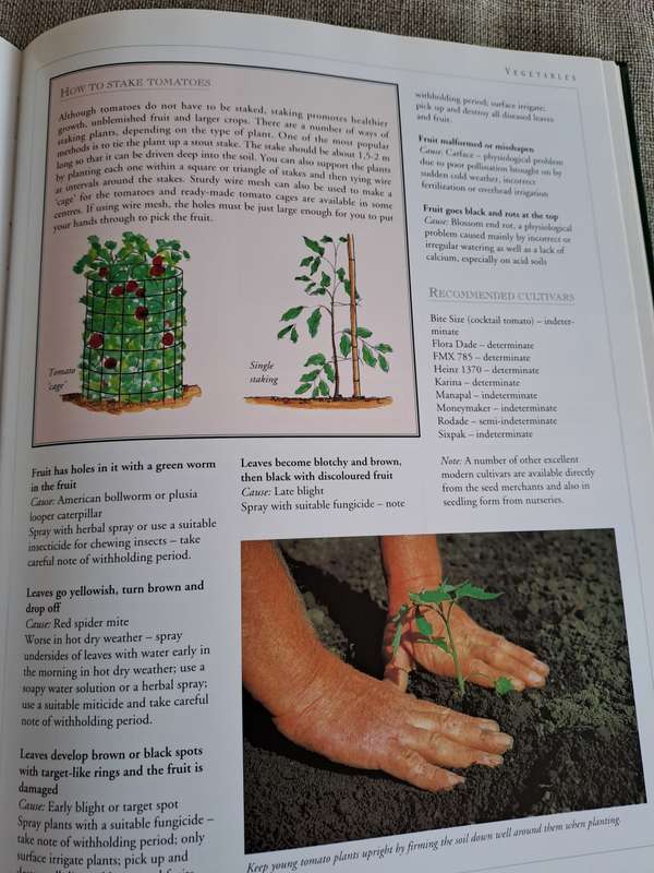 Food from Your Garden: A Southern African Guide to Growing Your Own Fruit, Vegetables and Herbs