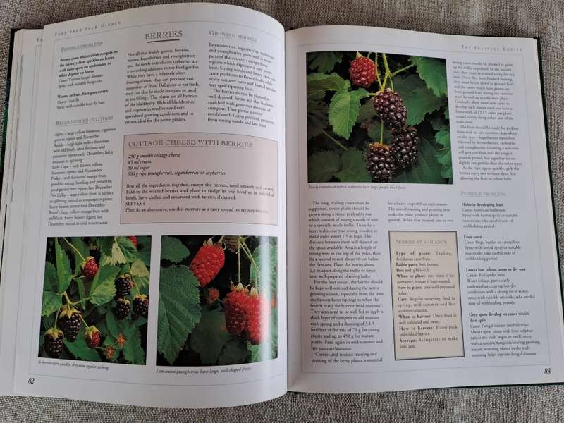 Food from Your Garden: A Southern African Guide to Growing Your Own Fruit, Vegetables and Herbs
