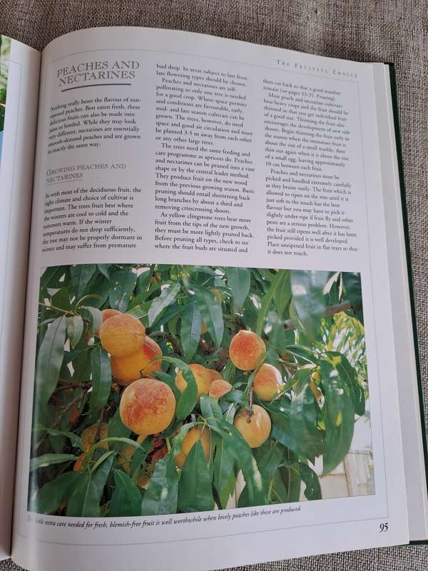 Food from Your Garden: A Southern African Guide to Growing Your Own Fruit, Vegetables and Herbs