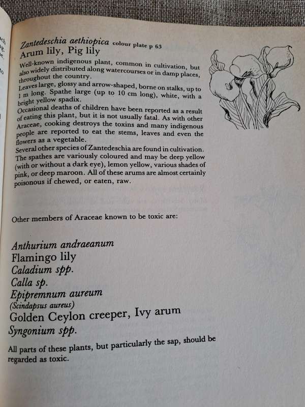 Poisonous Plants in South African Gardens and Parks -Joan Munday