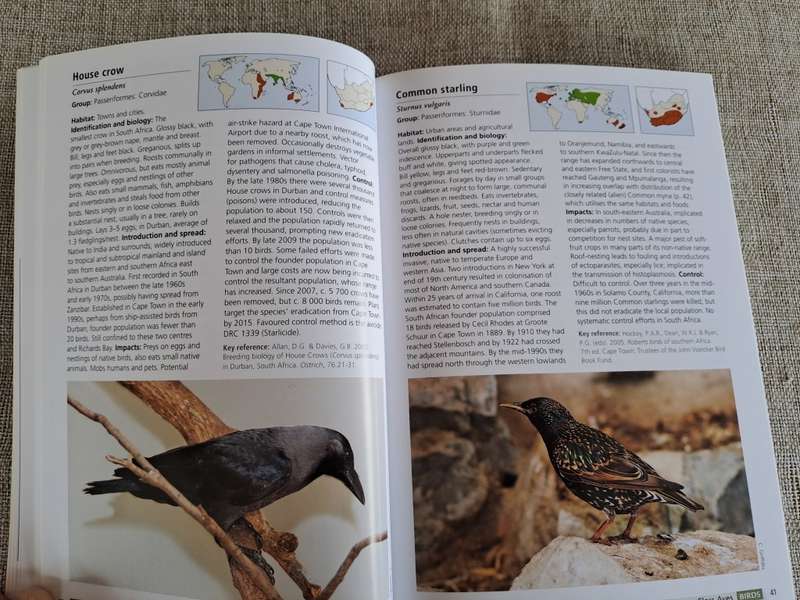 Alien & Invasive Animals - A South African Perspective - Mike Picker & Charles Griffiths