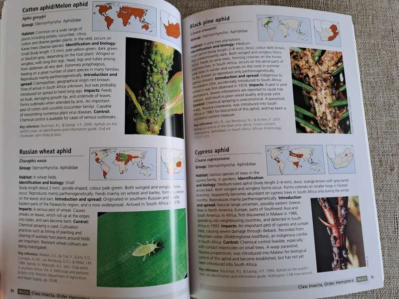Alien & Invasive Animals - A South African Perspective - Mike Picker & Charles Griffiths