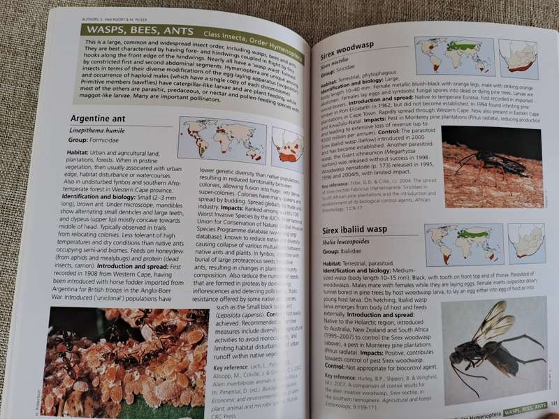 Alien & Invasive Animals - A South African Perspective - Mike Picker & Charles Griffiths