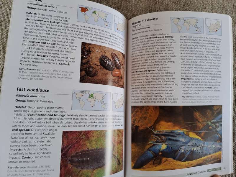 Alien & Invasive Animals - A South African Perspective - Mike Picker & Charles Griffiths