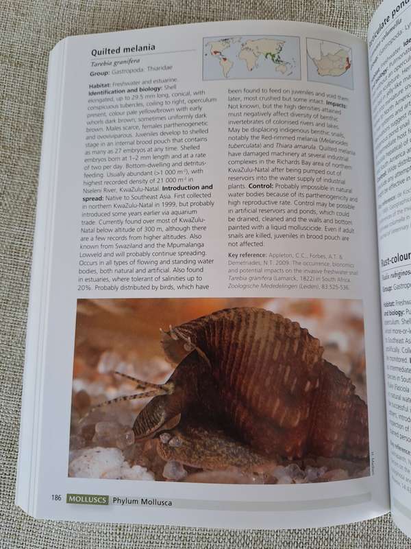 Alien & Invasive Animals - A South African Perspective - Mike Picker & Charles Griffiths