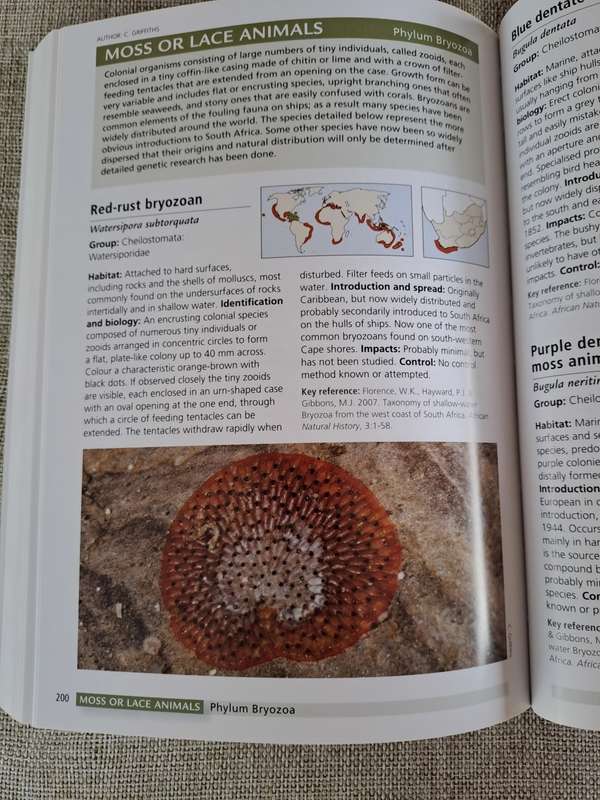 Alien & Invasive Animals - A South African Perspective - Mike Picker & Charles Griffiths