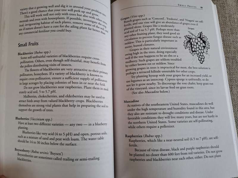 Carrots Love Tomatoes: Secrets of Companion Planting for Successful Gardening - Louise Riotte