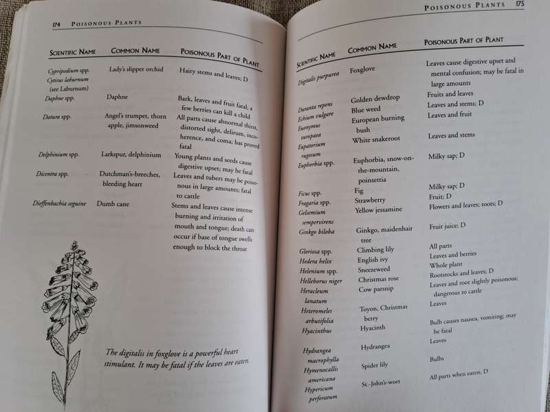 Carrots Love Tomatoes: Secrets of Companion Planting for Successful Gardening - Louise Riotte
