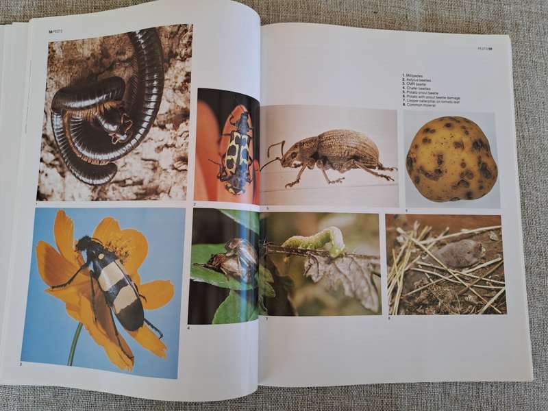 The A-Z of Vegetable Gardening in South Africa - Jack Hadfield