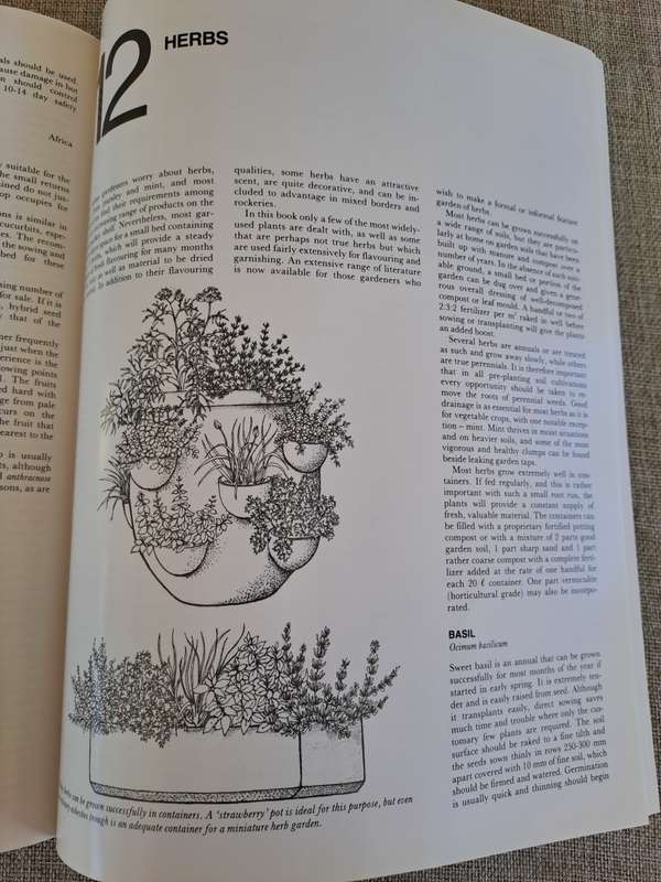 The A-Z of Vegetable Gardening in South Africa - Jack Hadfield