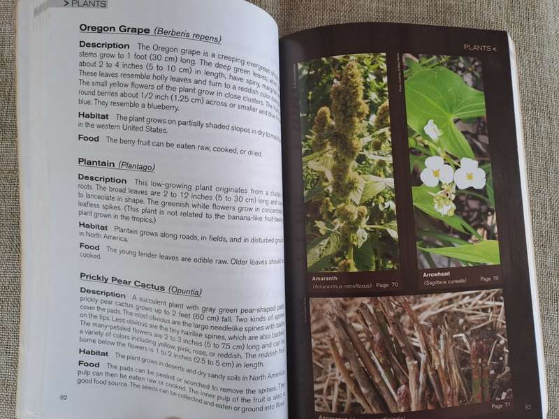 Outdoor Survival Guide - Randy Gerke