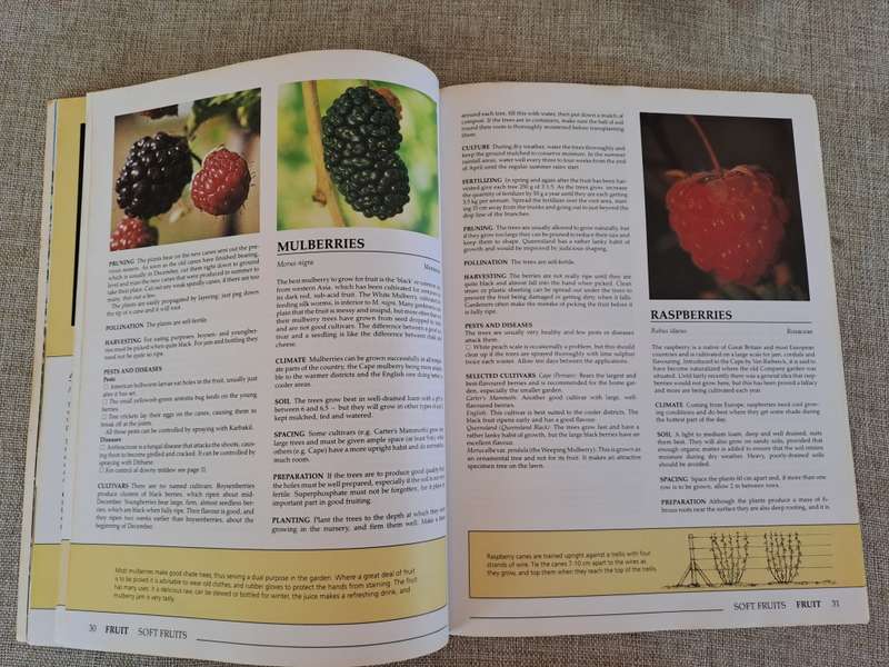 Down-to-earth Fruit & Vegetable Gardening in South Africa - Gilbert & Hadfield