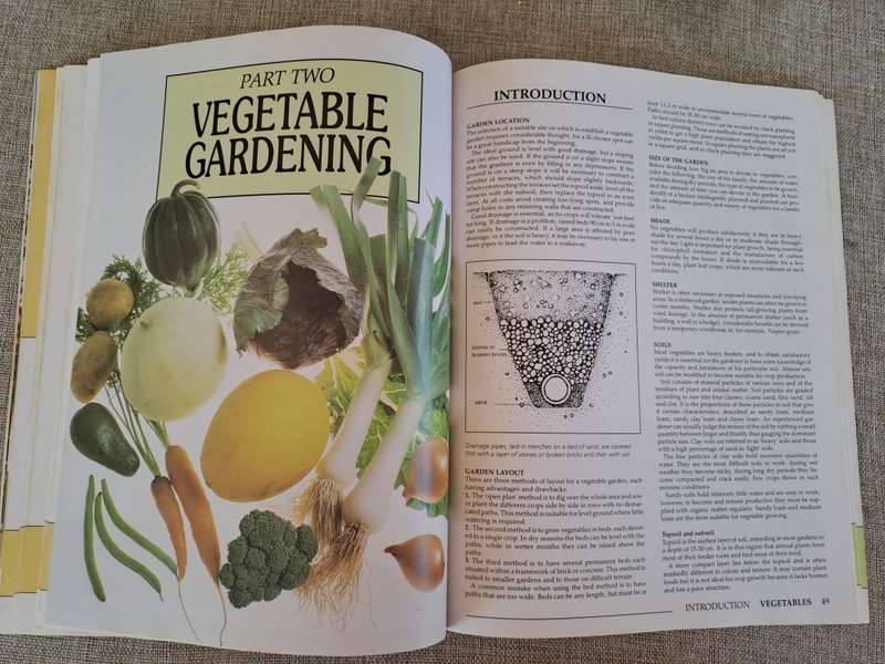 Down-to-earth Fruit & Vegetable Gardening in South Africa - Gilbert & Hadfield