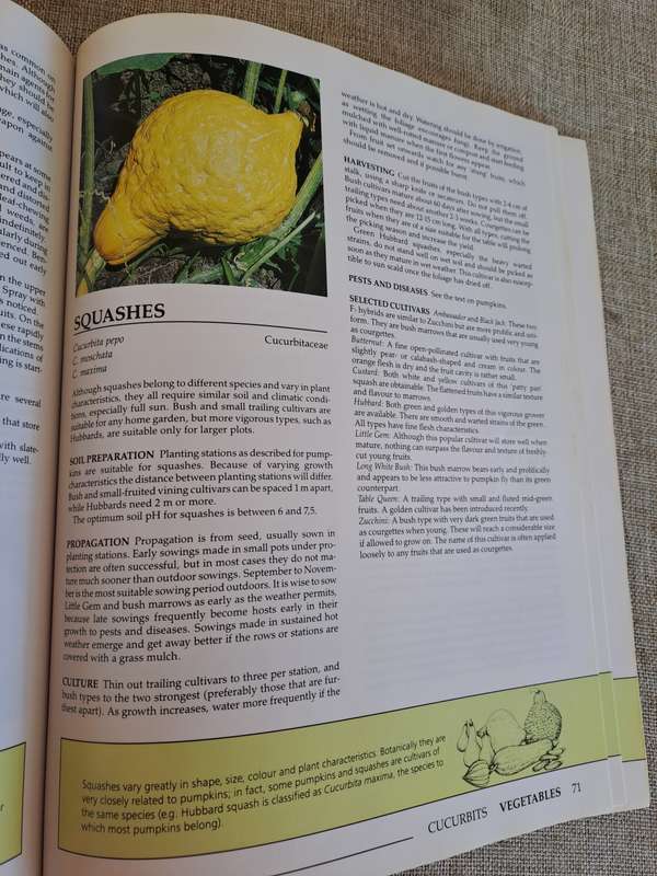 Down-to-earth Fruit & Vegetable Gardening in South Africa - Gilbert & Hadfield