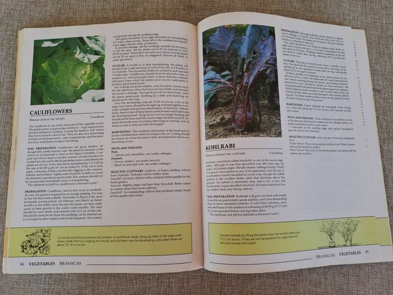 Down-to-earth Fruit & Vegetable Gardening in South Africa - Gilbert & Hadfield