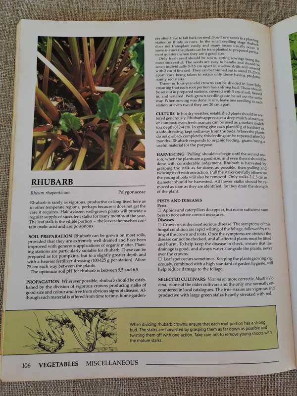Down-to-earth Fruit & Vegetable Gardening in South Africa - Gilbert & Hadfield
