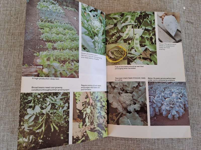 Growing Vegetables in South Africa