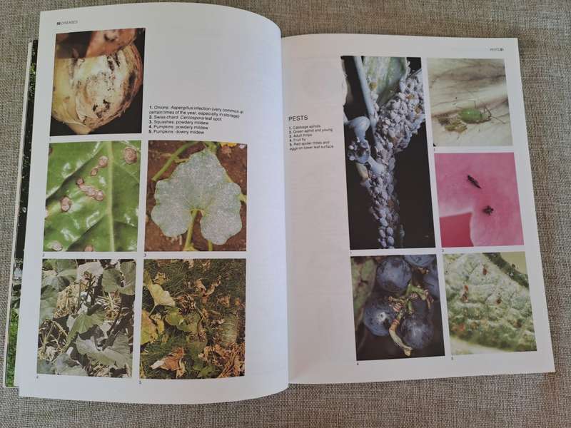 The A-Z of Vegetable Gardening in South Africa - Jack Hadfield