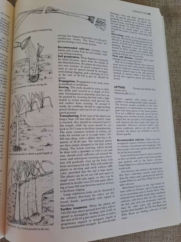 The A-Z of Vegetable Gardening in South Africa - Jack Hadfield