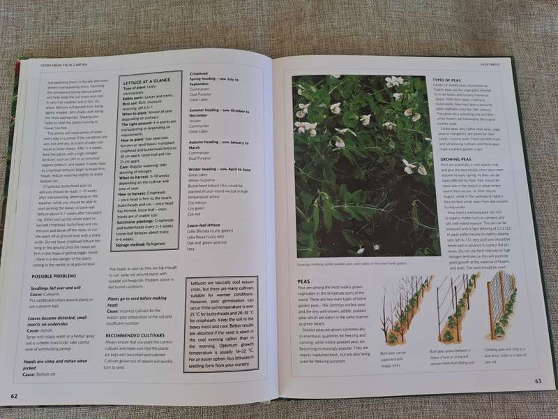 Food from Your Garden: A Southern African Guide to Growing Your Own Fruit, Vegetables and Herbs