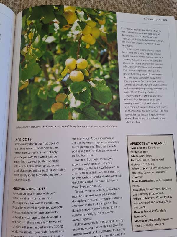 Food from Your Garden: A Southern African Guide to Growing Your Own Fruit, Vegetables and Herbs