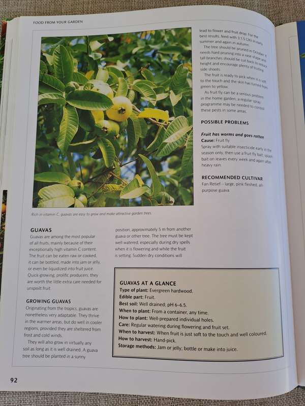 Food from Your Garden: A Southern African Guide to Growing Your Own Fruit, Vegetables and Herbs