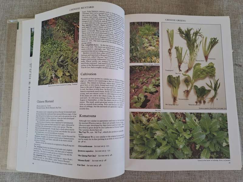 Vegetables - Roger Phillips & Martyn Rix