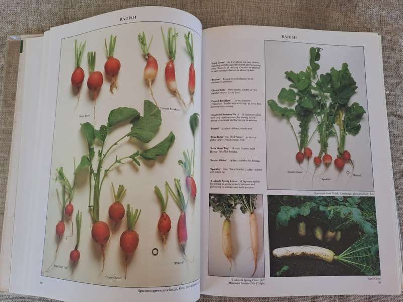 Vegetables - Roger Phillips & Martyn Rix