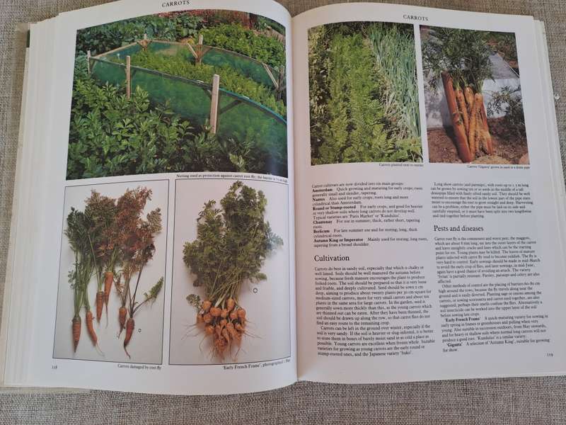 Vegetables - Roger Phillips & Martyn Rix