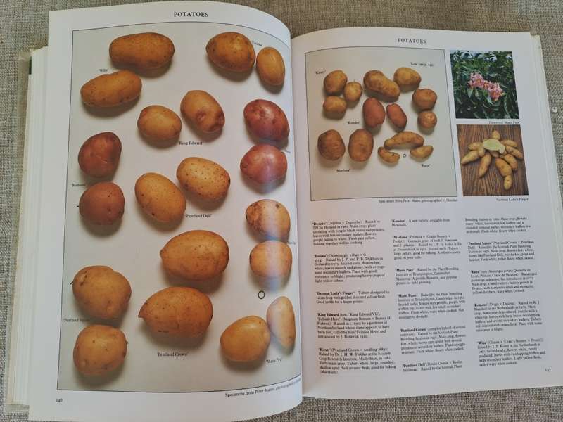Vegetables - Roger Phillips & Martyn Rix