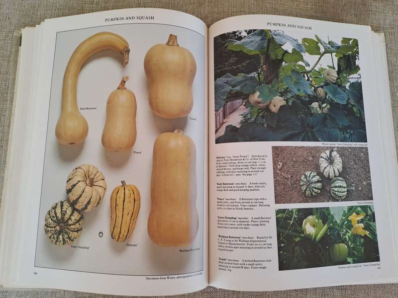Vegetables - Roger Phillips & Martyn Rix