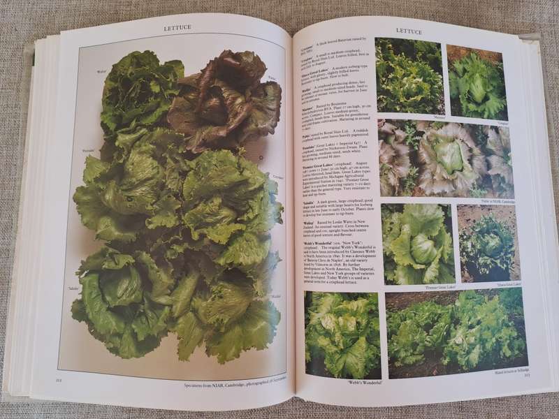 Vegetables - Roger Phillips & Martyn Rix